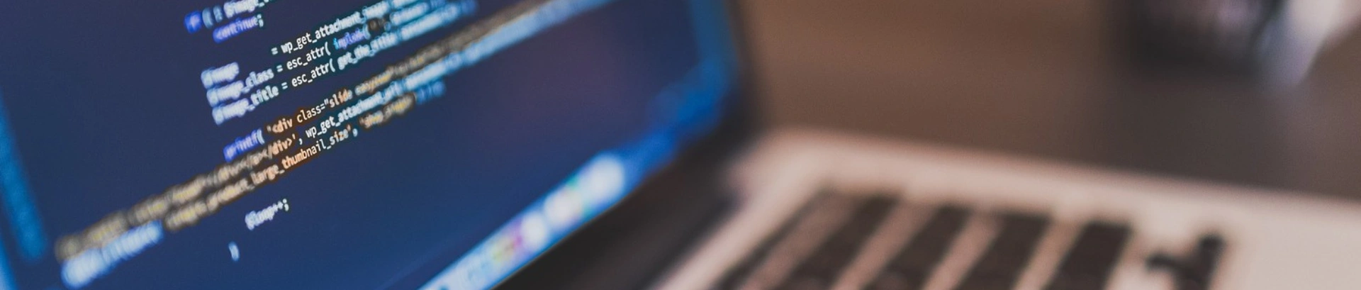 Softwareentwicklung
